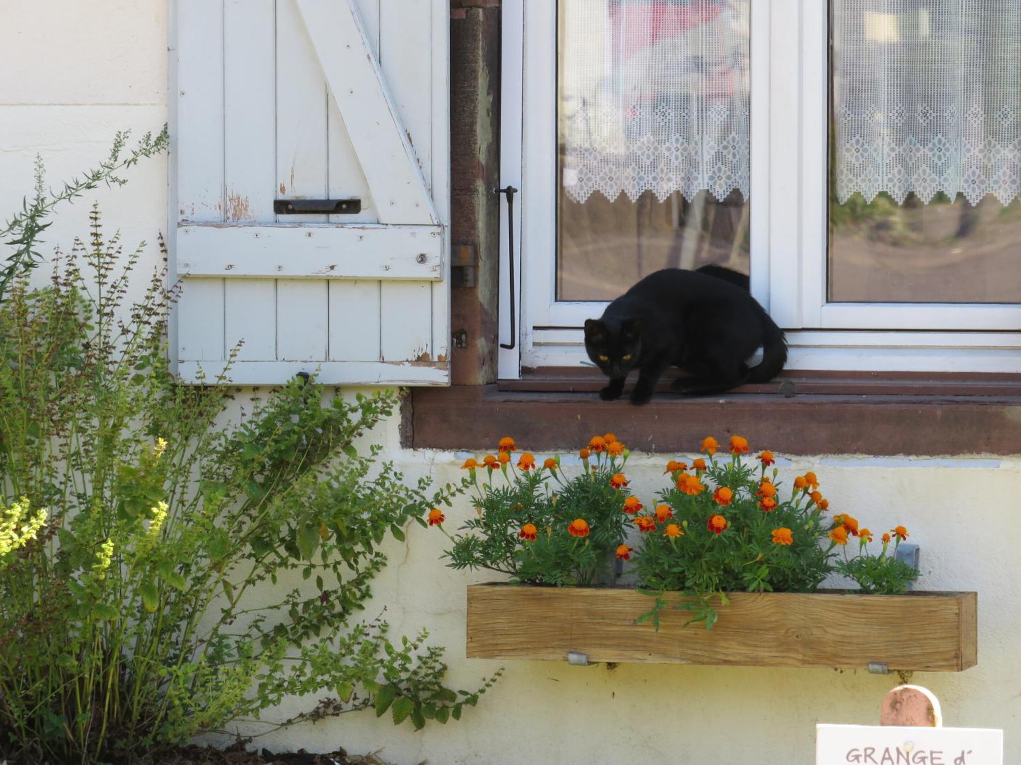 Grange D'Anjeux Bed & Breakfast Eksteriør billede